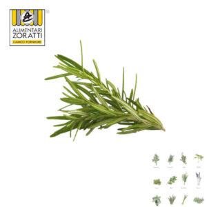 rosmarino-fresco-mazzo