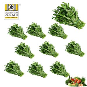 rucola-domestica-10-mazzi-in-cassetta