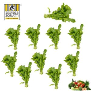 rucola-selvatica-10-mazzi-in-cassetta