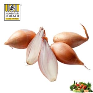 scalogno-kg-cipolla-