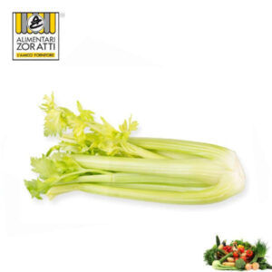 sedano-bianco-cespo