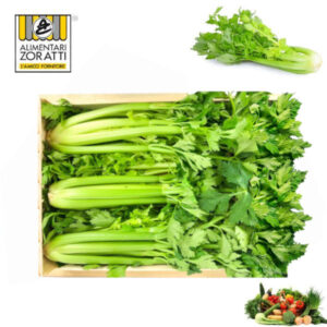 sedano-verde-cassetta