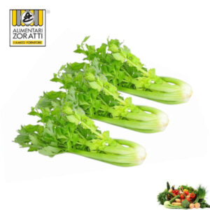 sedano-verde-kg