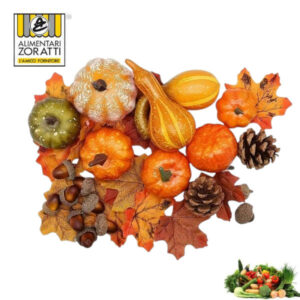 zucca-decorativa-kg